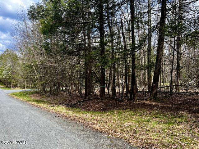 Lot 826 Fawn Road Hawley, PA 18428 - Photo 11 of 31