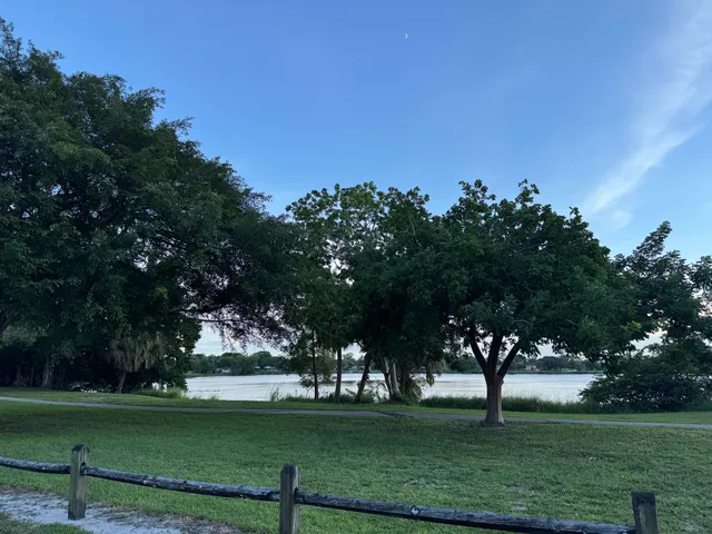 a view of park and bench