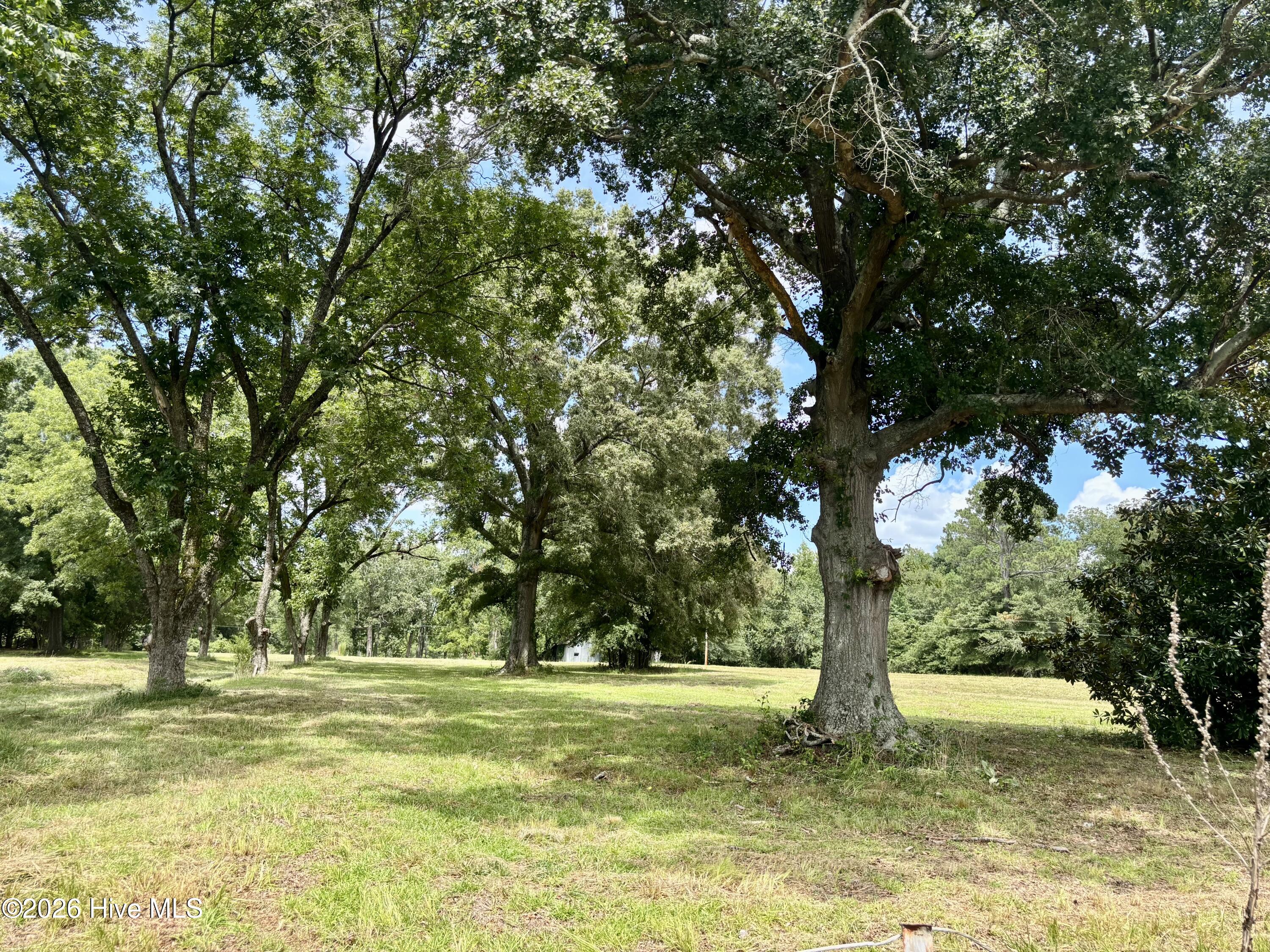 Tbd Tbd Roberdel School Road Rockingham, NC 28379 - Photo 6 of 20 Gallery Image 6