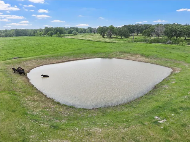 a view of a golf course with a lake