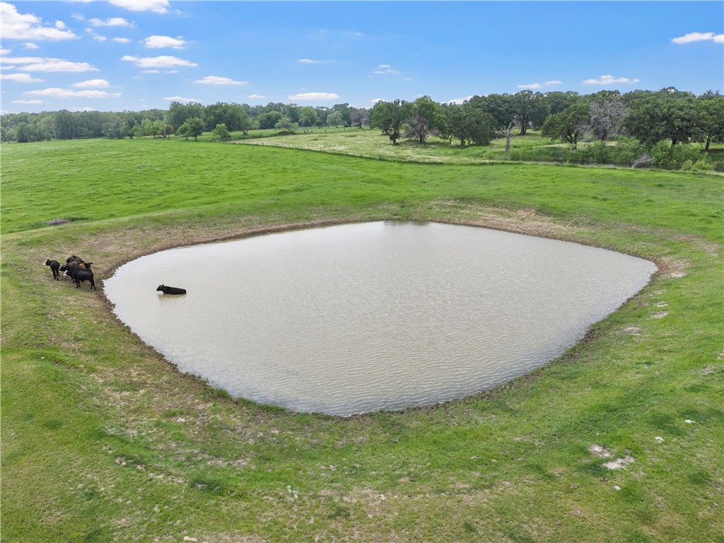 1748 Downsville Road Robinson, TX 76706 - Photo 4 of 65 a view of a golf course with a garden