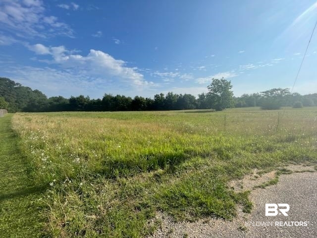 0 Catherine Road Chunchula, AL 36521 - Photo 2 of 3