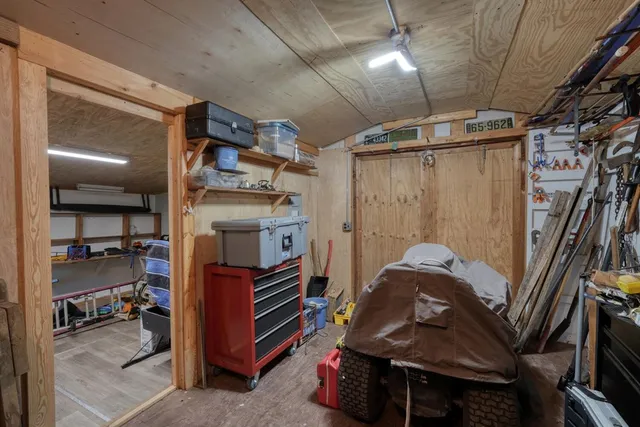 a view of a forest with trees