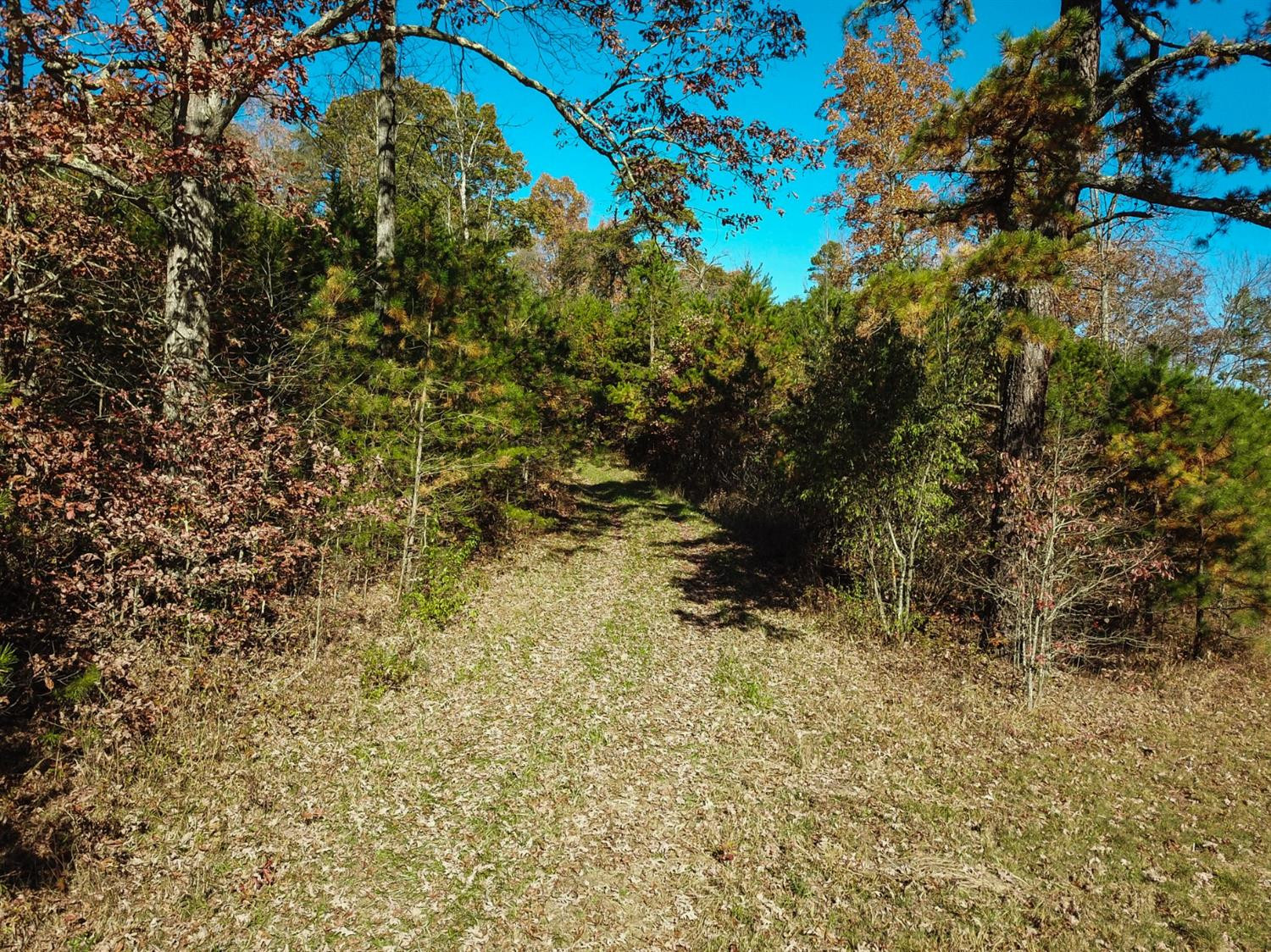 999 Red Davidson Road McKee, KY 40447 - Photo 9 of 45 Photo 9
