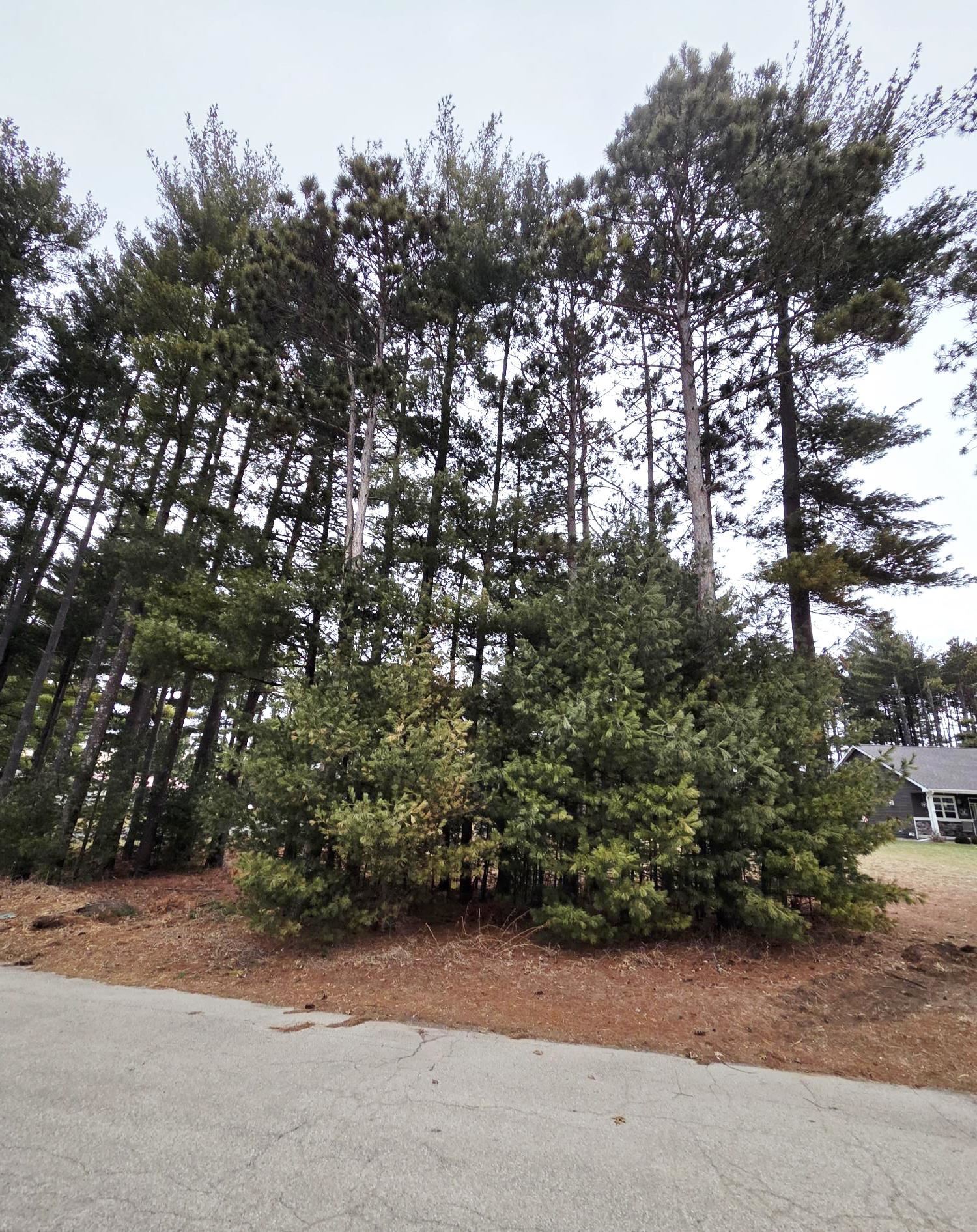 913 Forest Portage, WI 53901 - Photo 2 of 8