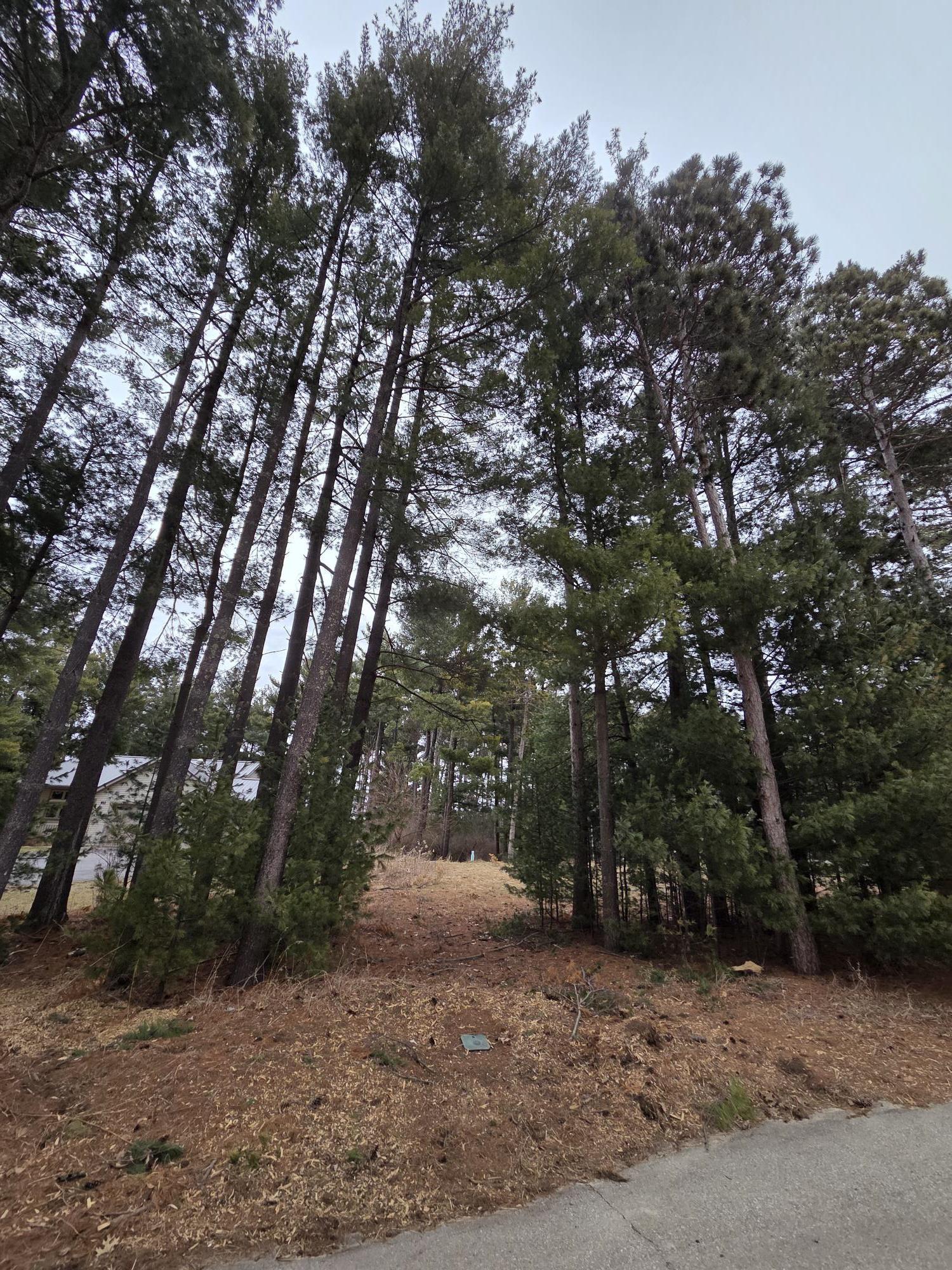 913 Forest Portage, WI 53901 - Photo 3 of 8