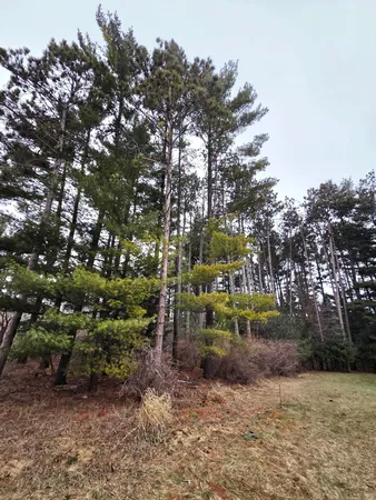 $79,900 | 913 Forest, Portage, WI 53901