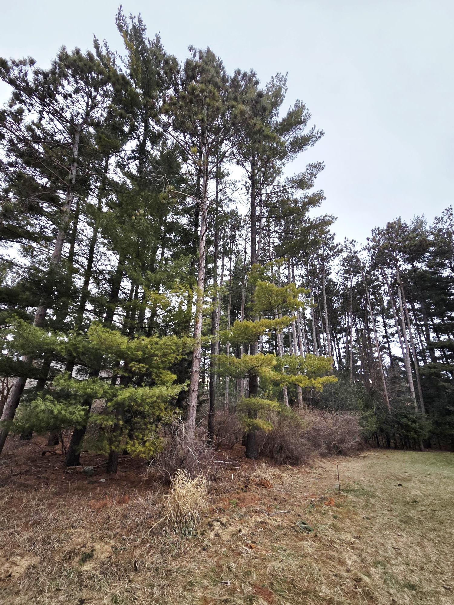 913 Forest Portage, WI 53901 - Photo 5 of 8