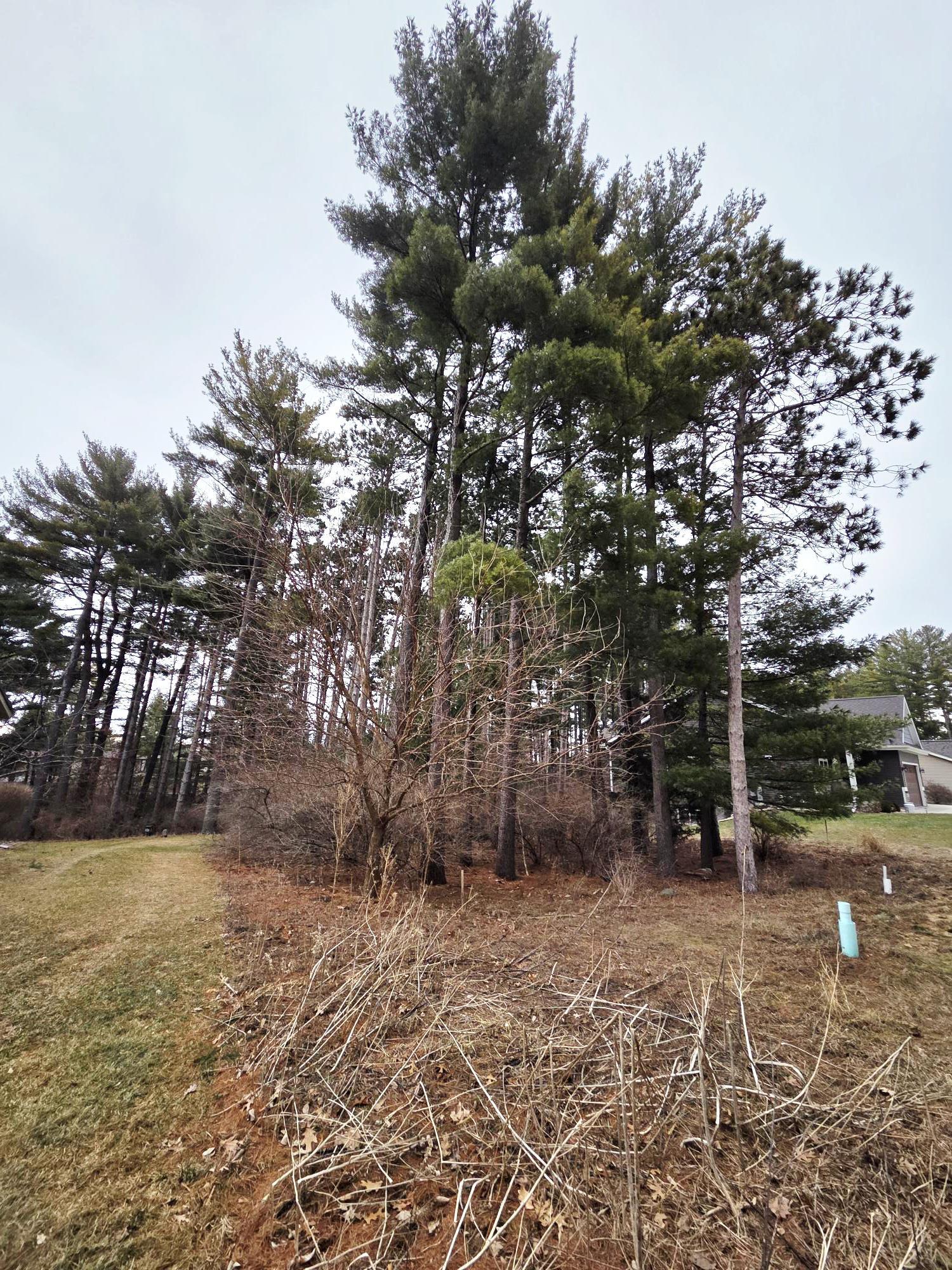 913 Forest Portage, WI 53901 - Photo 6 of 8