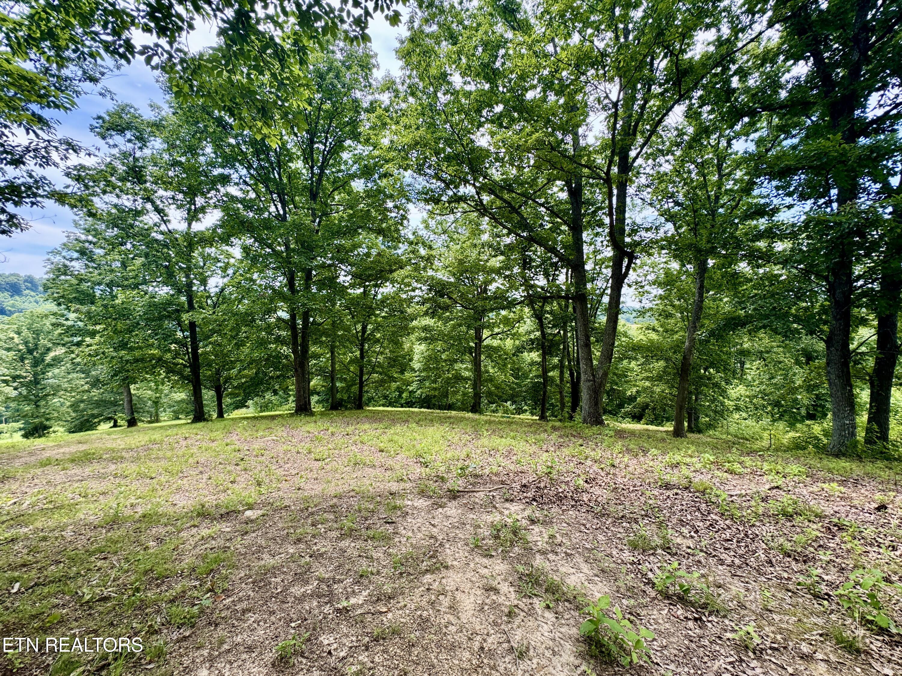 378 Johnson Hollow Road New Tazewell, TN 37825 - Photo 22 of 35 1-22
