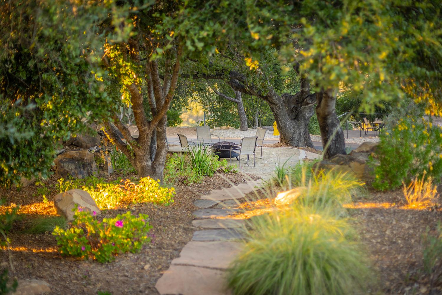 276 Running Ridge Trail Ojai, CA 93023 - Photo 27 of 31 a view of a yard with plants and large trees