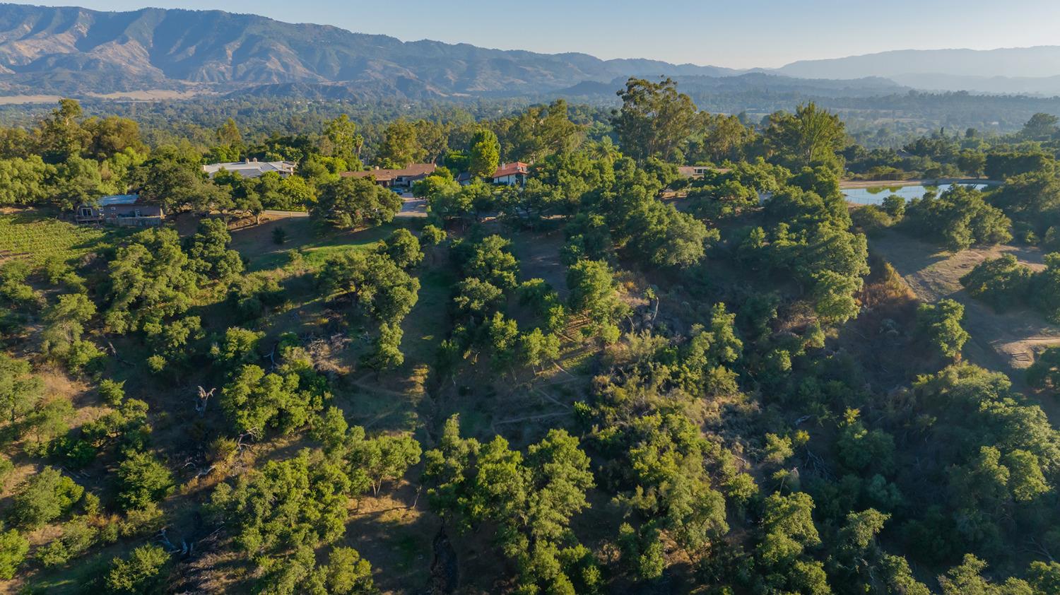 276 Running Ridge Trail Ojai, CA 93023 - Photo 30 of 31 a view of a forest with a street