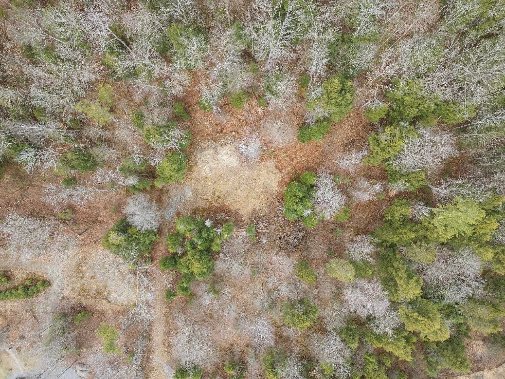 17 Keyes Hollow Road Lempster, NH 03605 - Photo 22 of 26