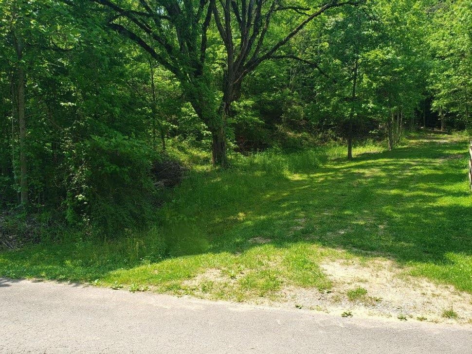 4 Licking Spring Way Sevierville, TN 37876 - Photo 1 of 4