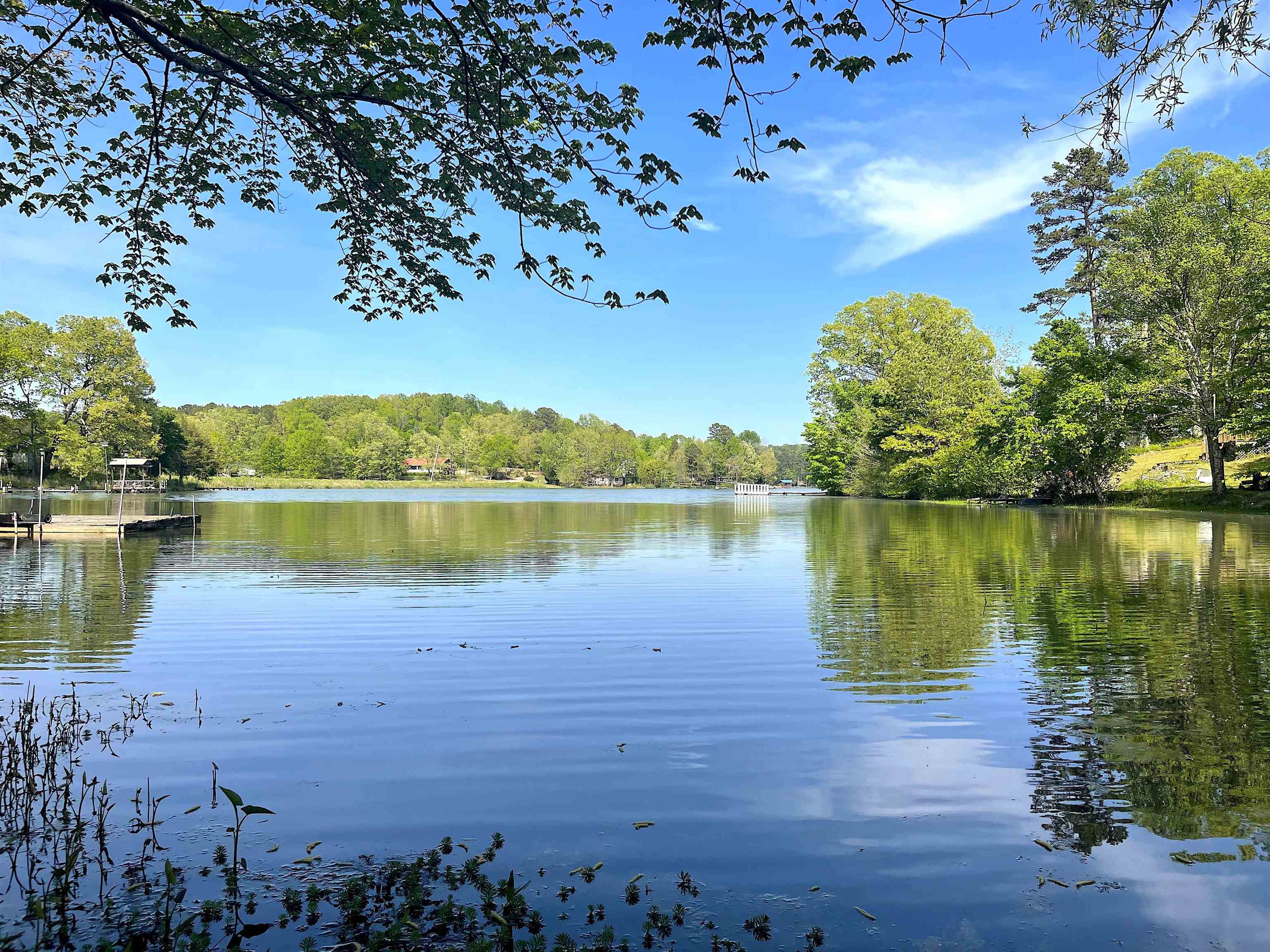 1192 431st Road Ripley, MS 38663 - Photo 1 of 10 a view of a lake with houses in the background