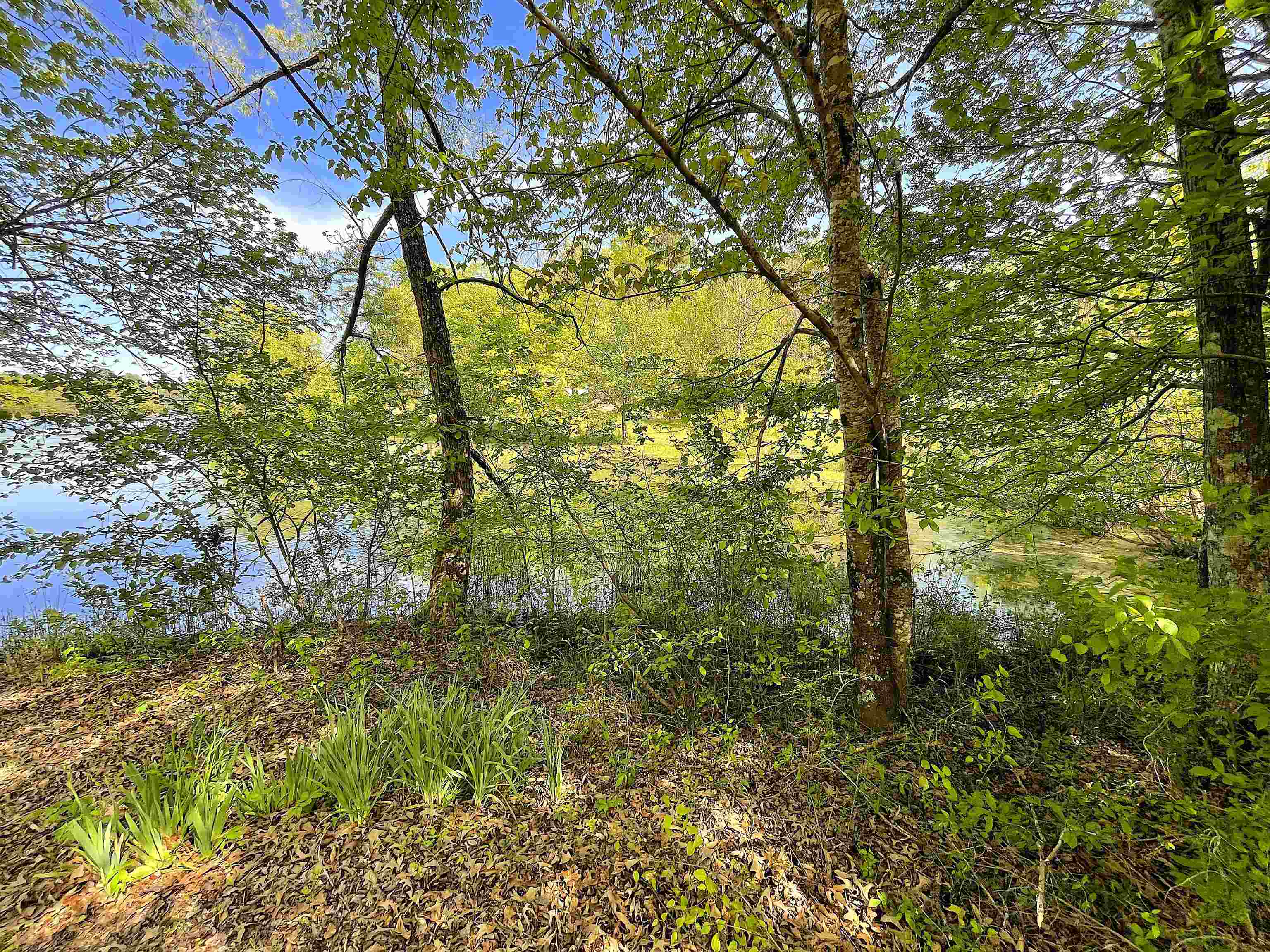 1192 431st Road Ripley, MS 38663 - Photo 2 of 10