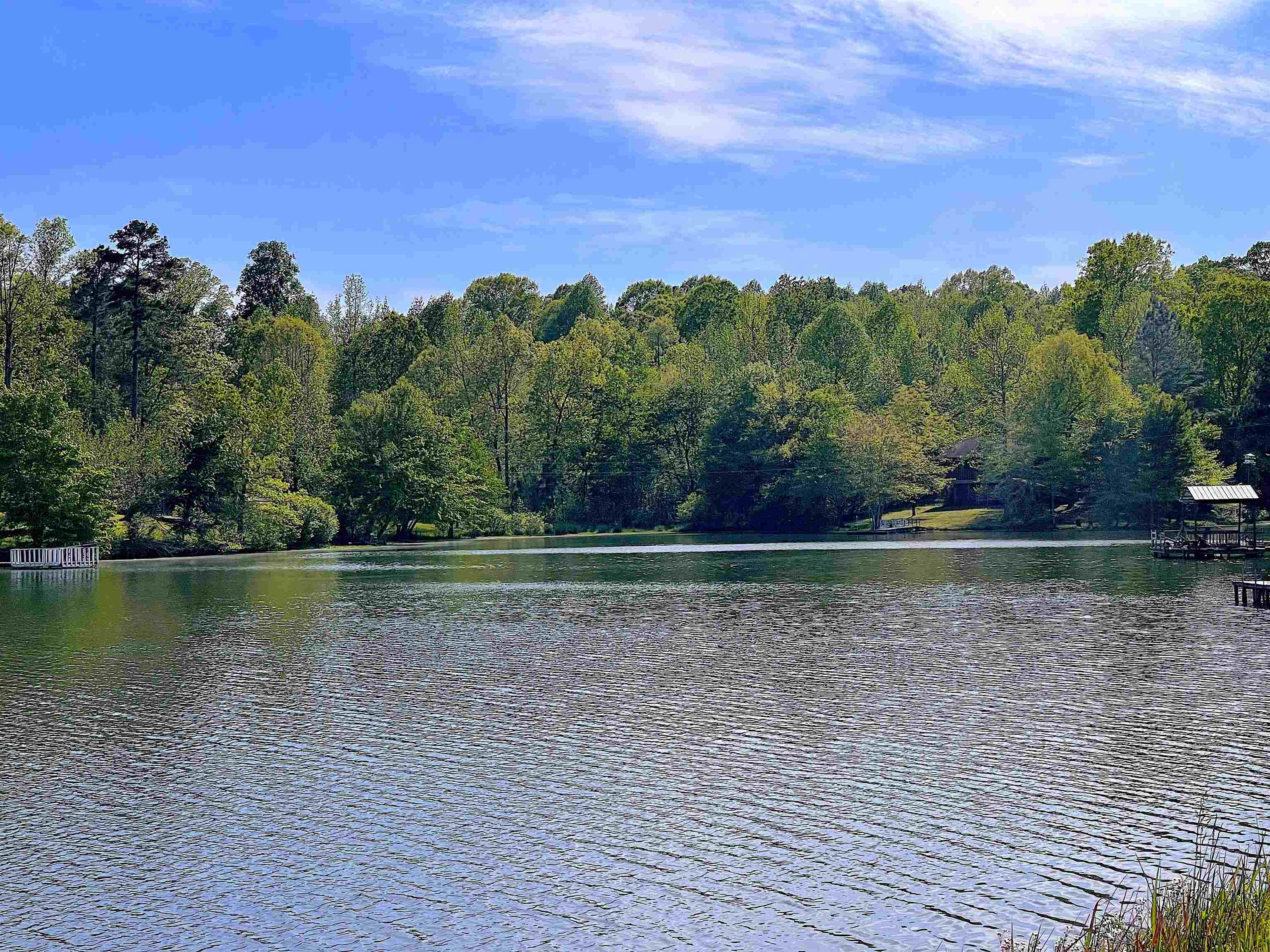 1192 431st Road Ripley, MS 38663 - Photo 7 of 10 a view of a lake view