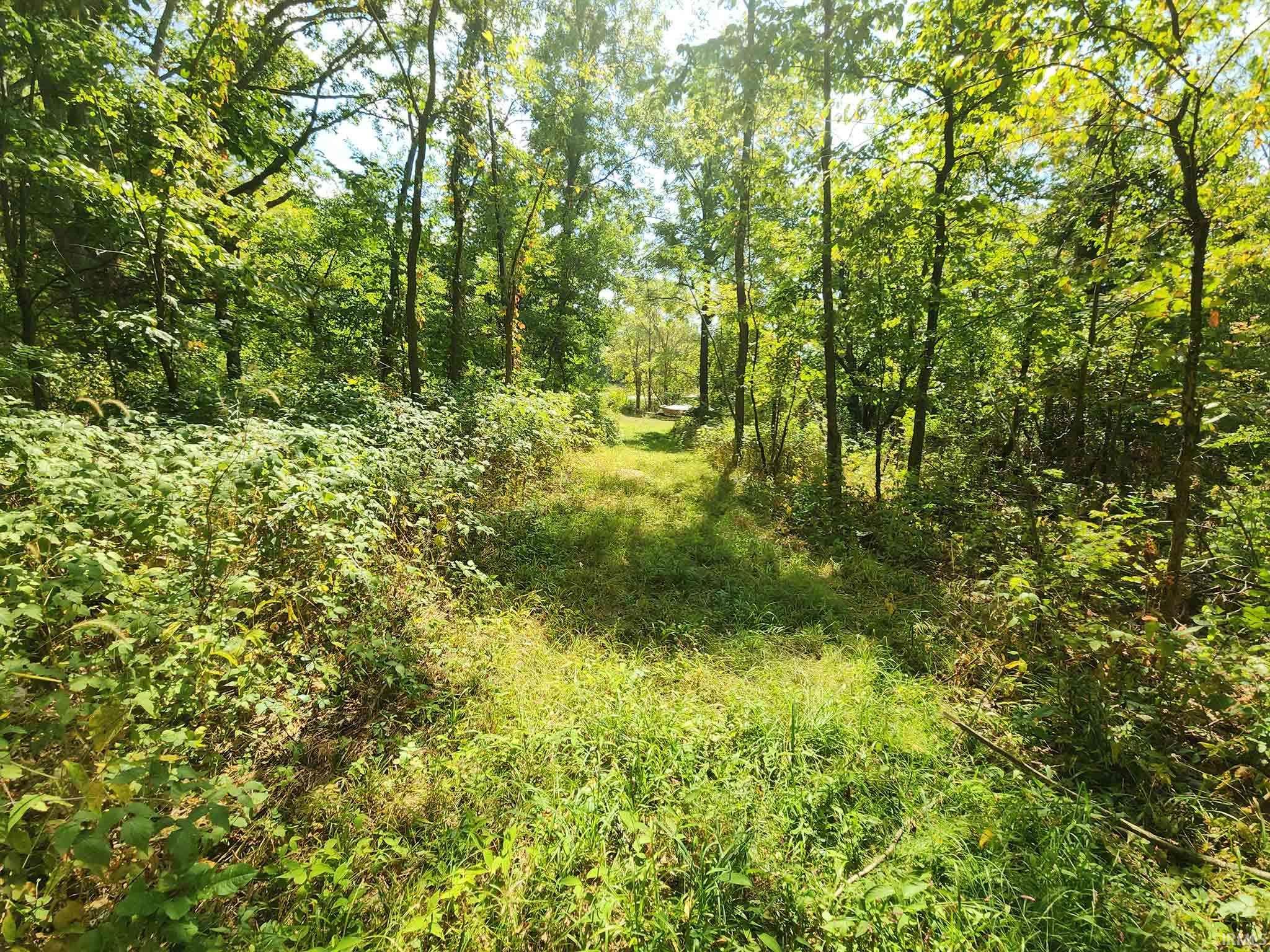 7050 North Van Guilder Road Fremont, IN 46737 - Photo 14 of 36