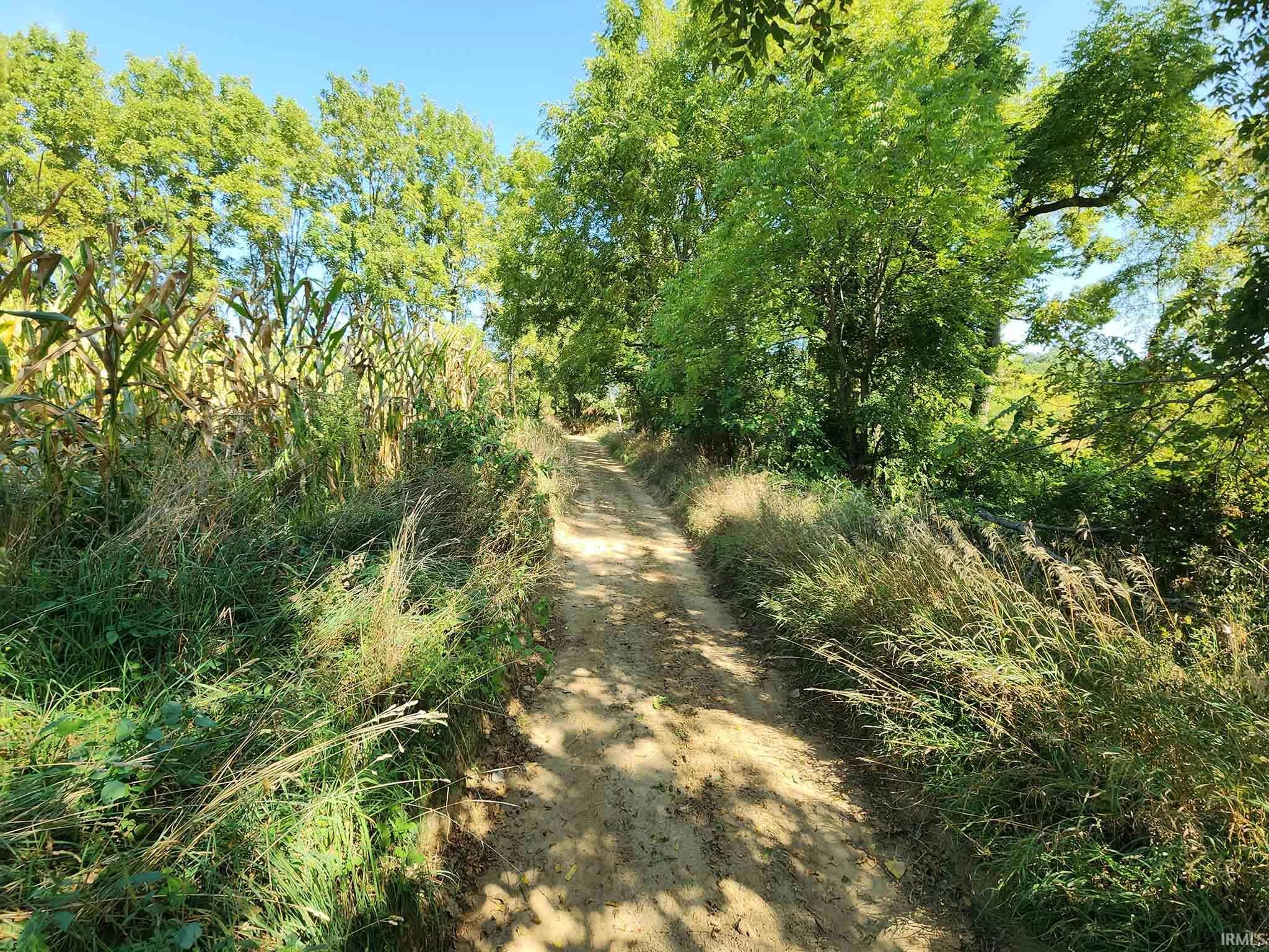 7050 North Van Guilder Road Fremont, IN 46737 - Photo 20 of 36