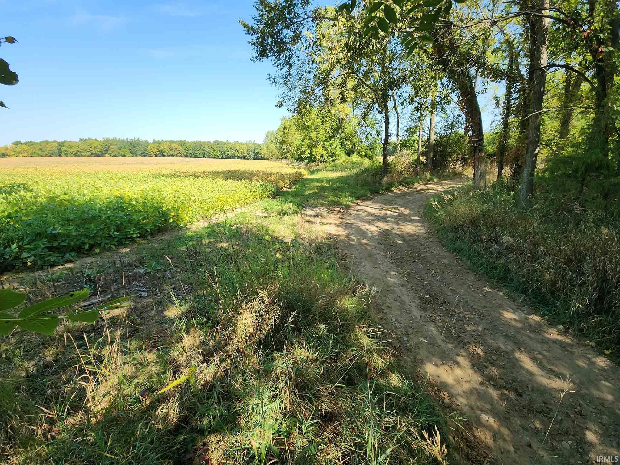 7050 North Van Guilder Road Fremont, IN 46737 - Photo 21 of 36