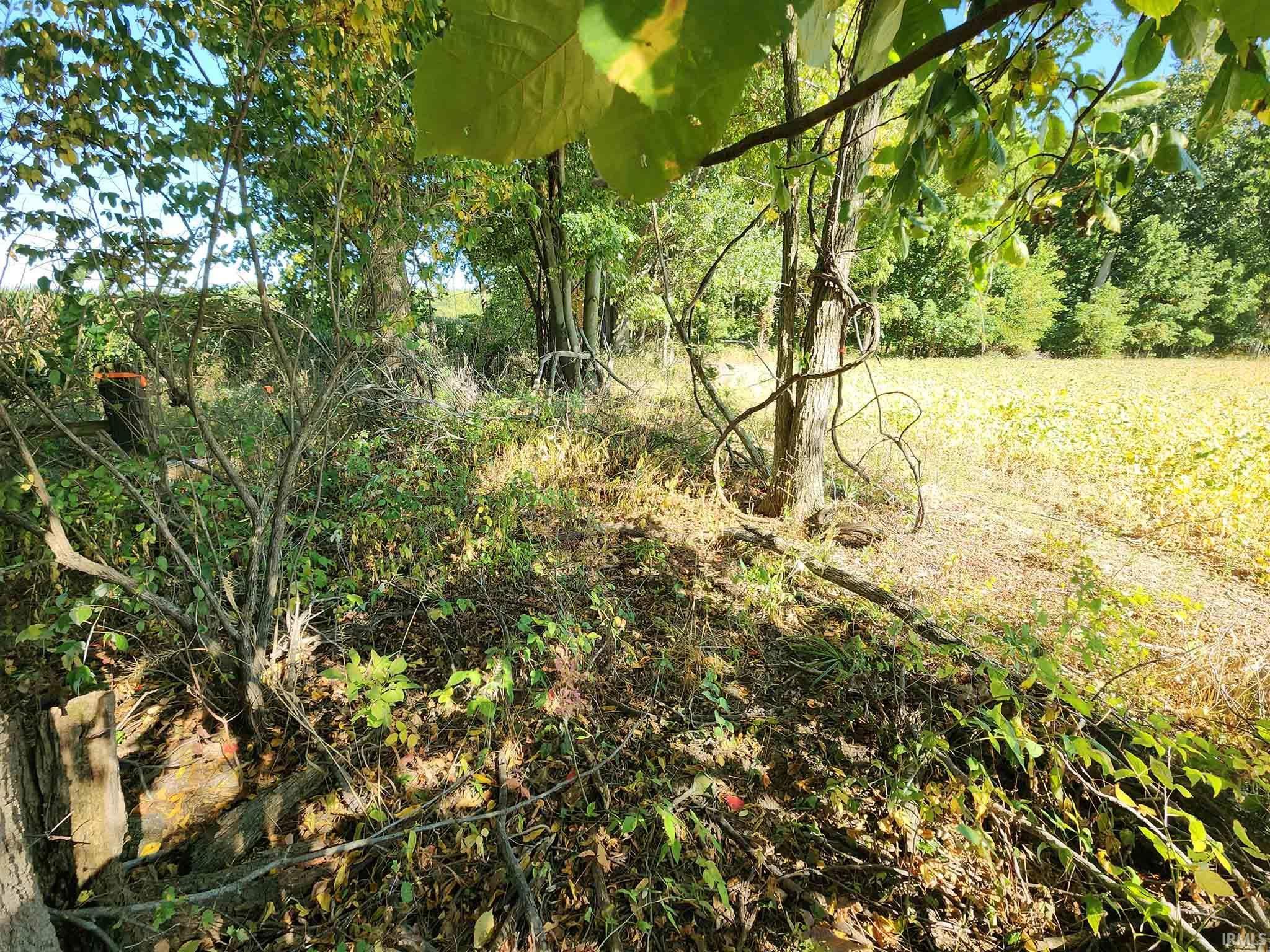 7050 North Van Guilder Road Fremont, IN 46737 - Photo 23 of 36