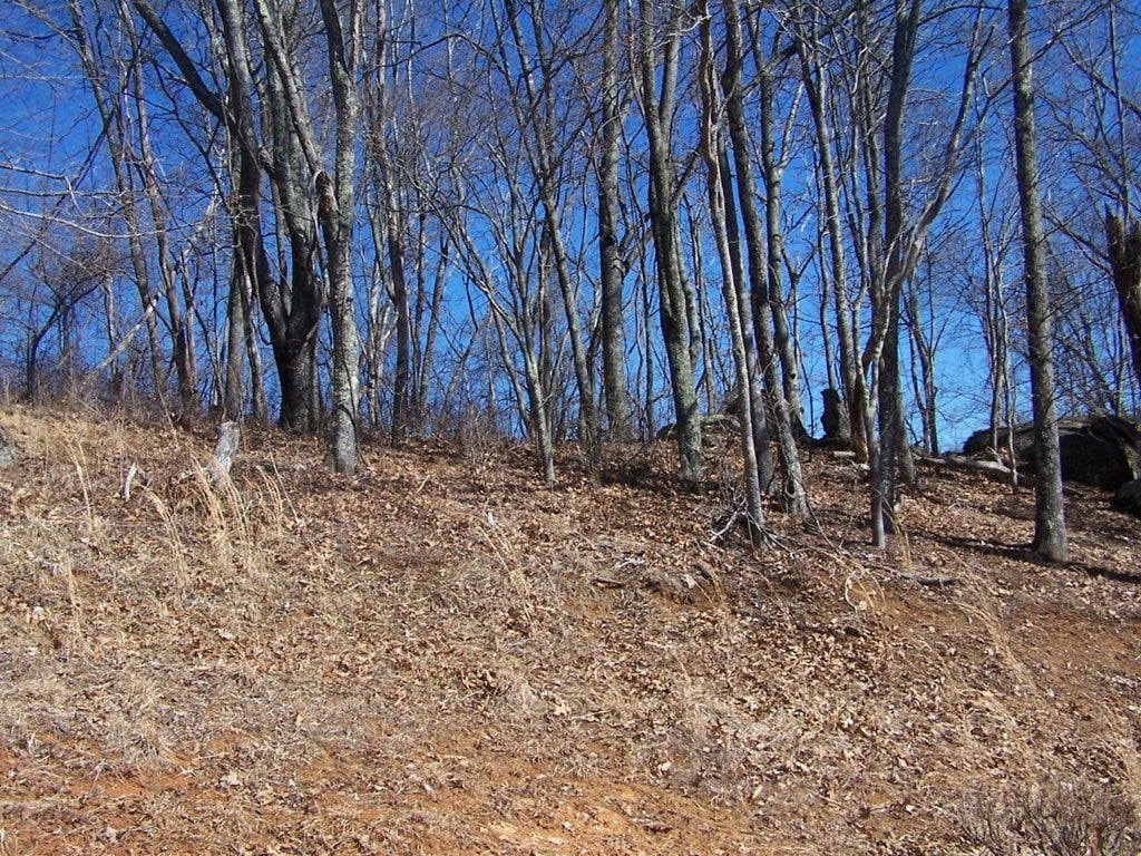 555 Clito Road, Unit 38A6PT Fries, VA 24330 - Photo 45 of 51 Gallery Image 45