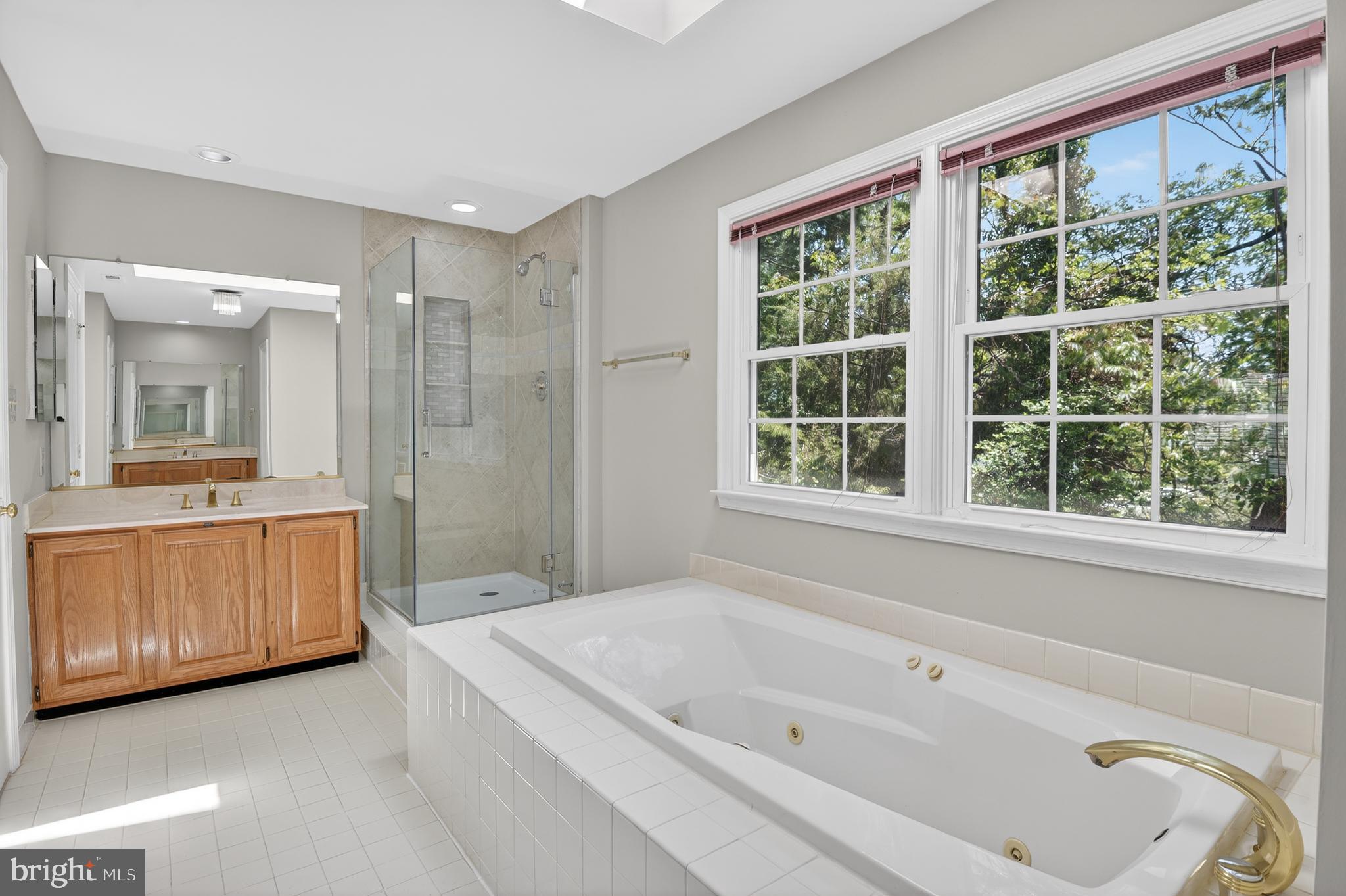 11601 Letterman Way Gaithersburg, MD 20878 - Photo 21 of 53 a bathroom with a tub a sink and a large mirror