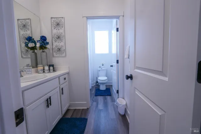 a bathroom with a sink a toilet and a large mirror