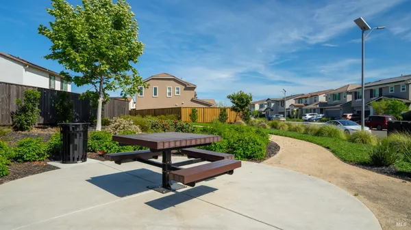 a view of a park with a bench and a tree