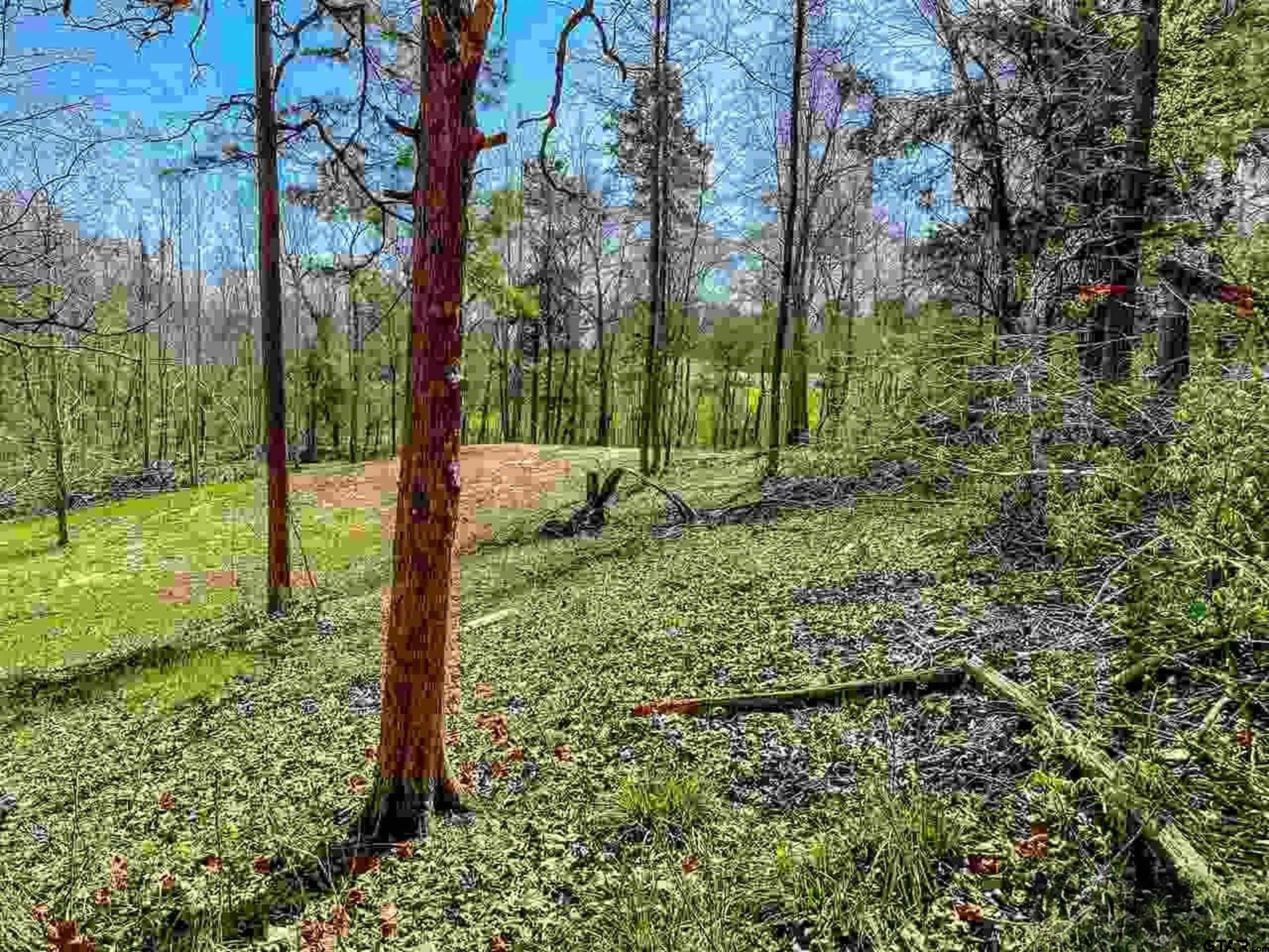 11443 Interstate 20 Tyler, TX 75708 - Photo 12 of 19