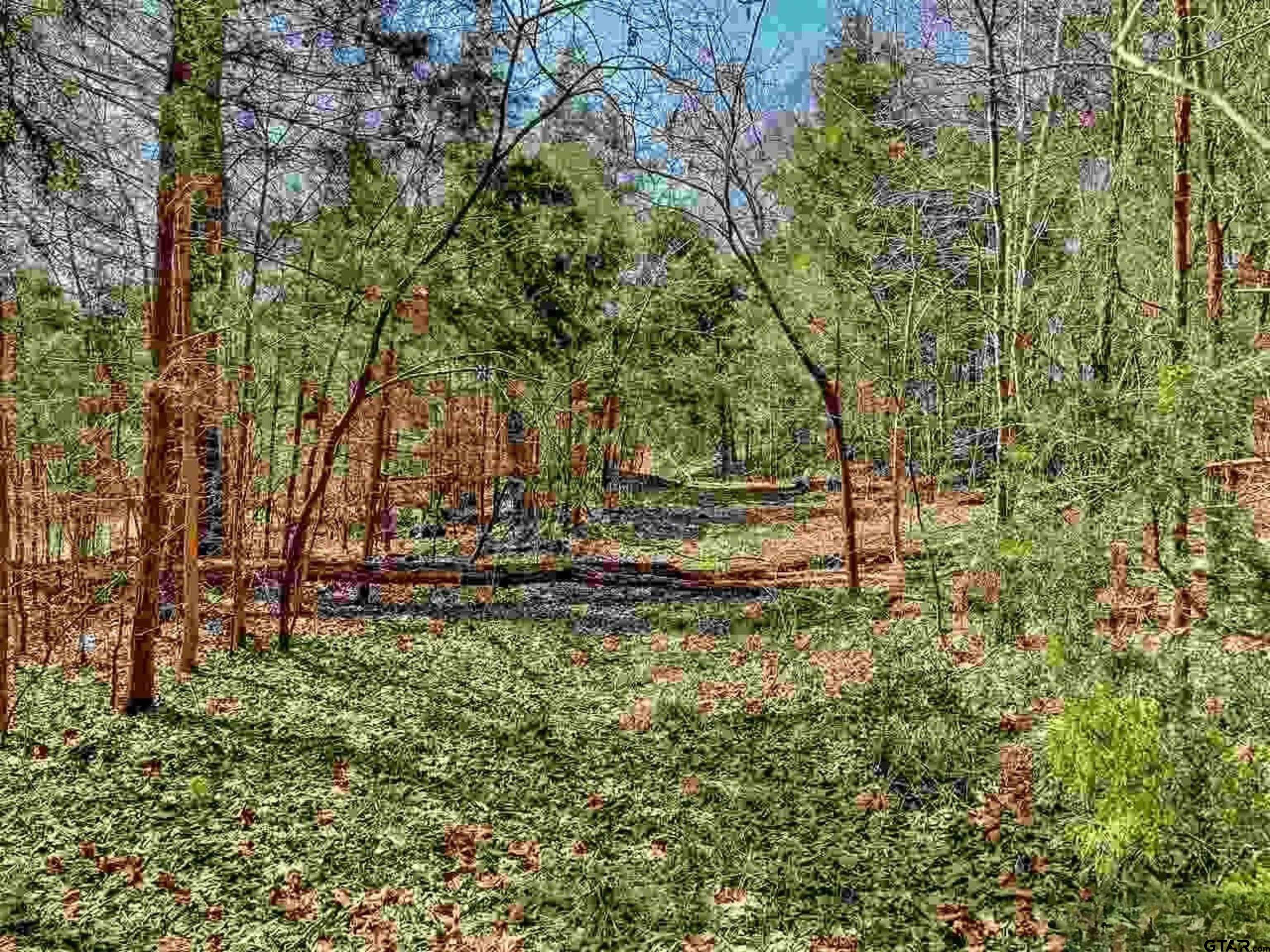 11443 Interstate 20 Tyler, TX 75708 - Photo 13 of 19