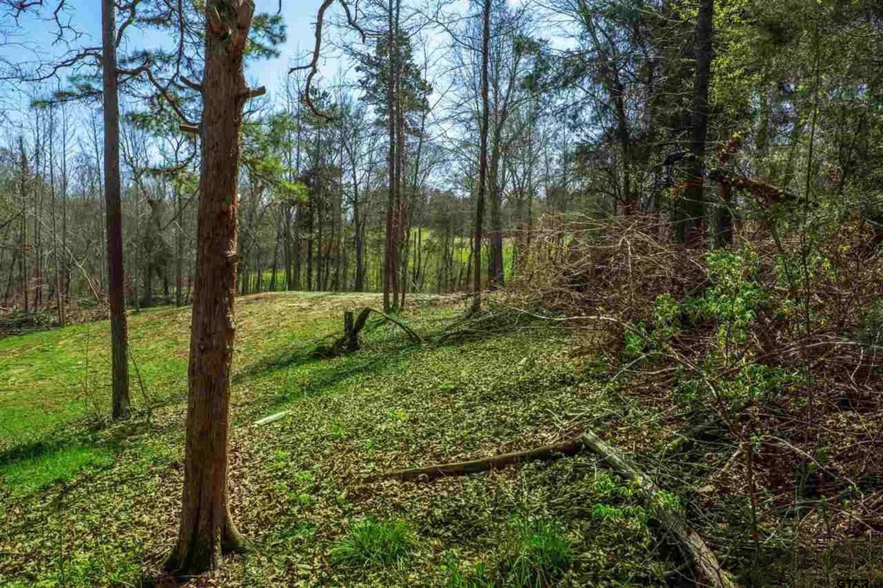 11443 Interstate 20 Tyler, TX 75708 - Photo 15 of 19