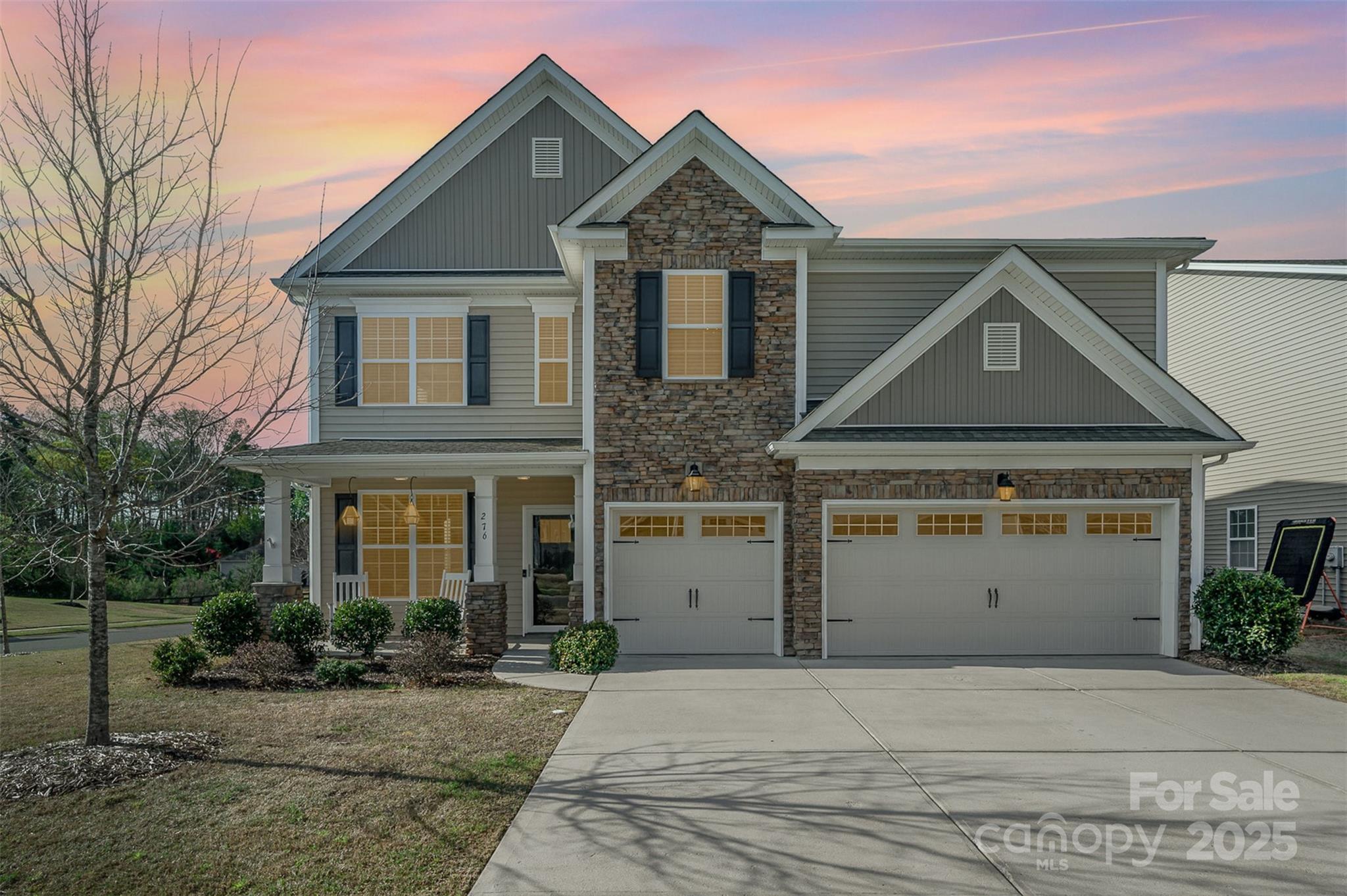 276 Annatto Way Tega Cay, SC 29708 - Photo 3 of 48