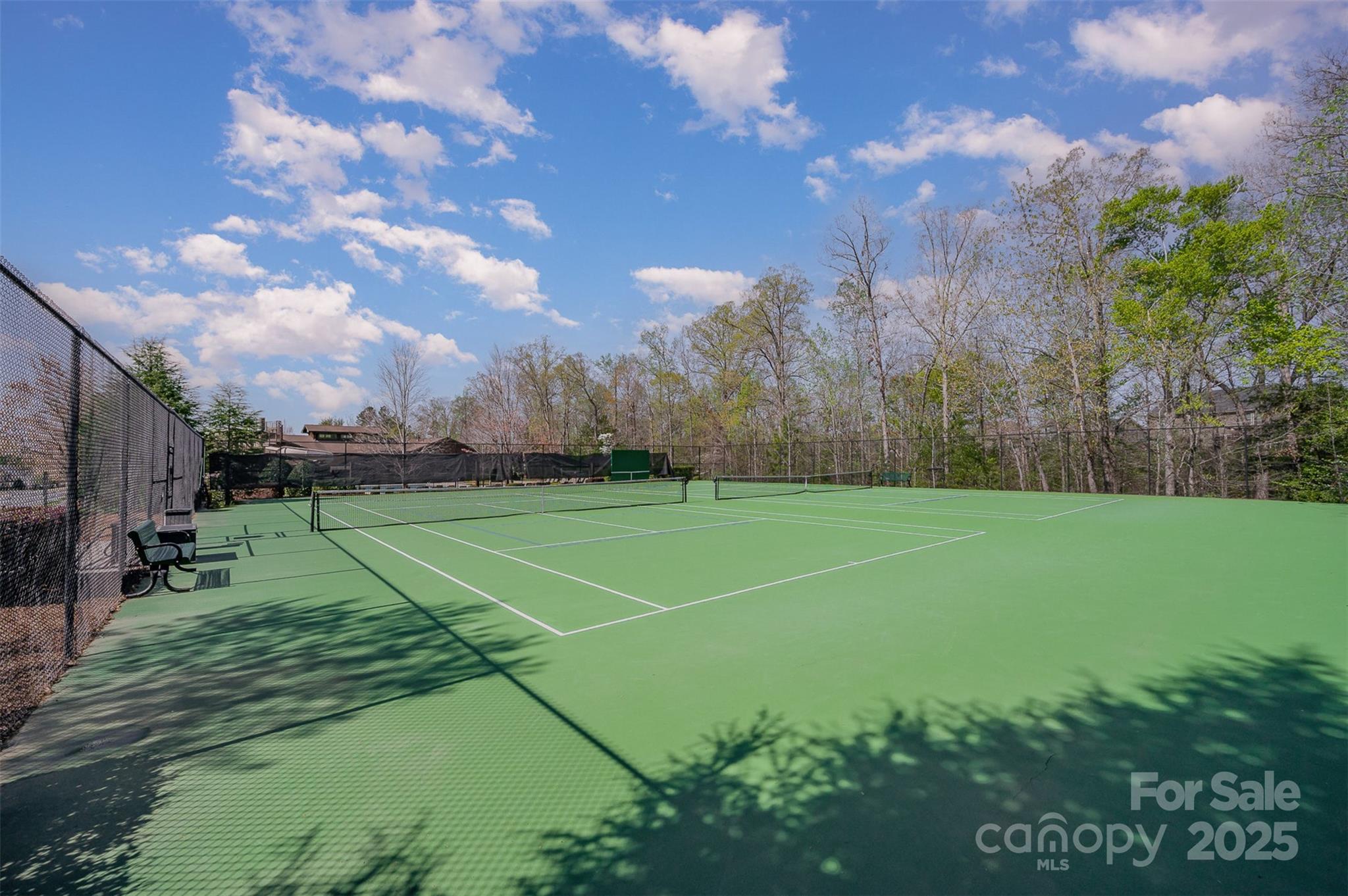 276 Annatto Way Tega Cay, SC 29708 - Photo 41 of 48