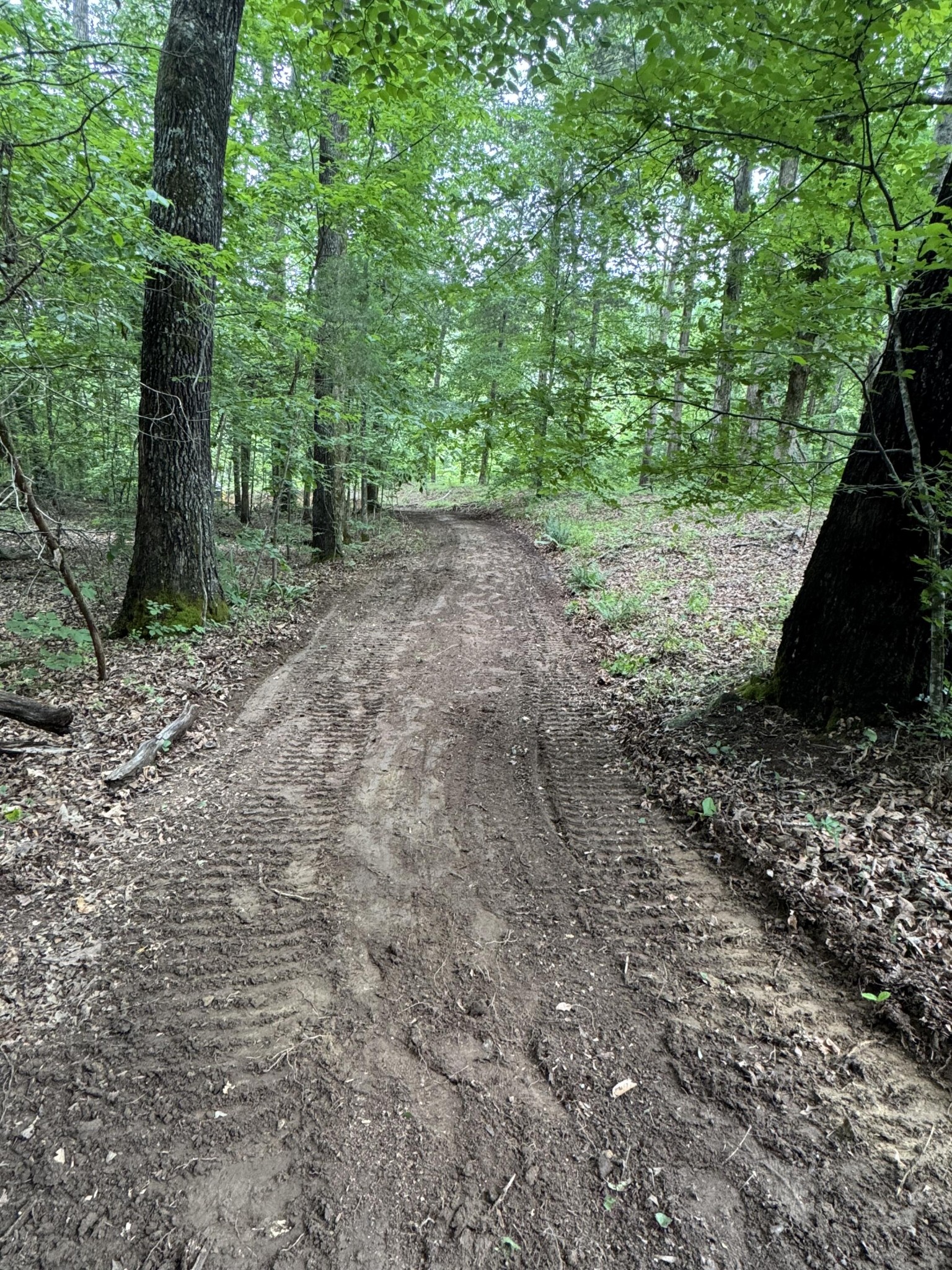 0 Brown Hollow Road Lyles, TN 37098 - Photo 13 of 18