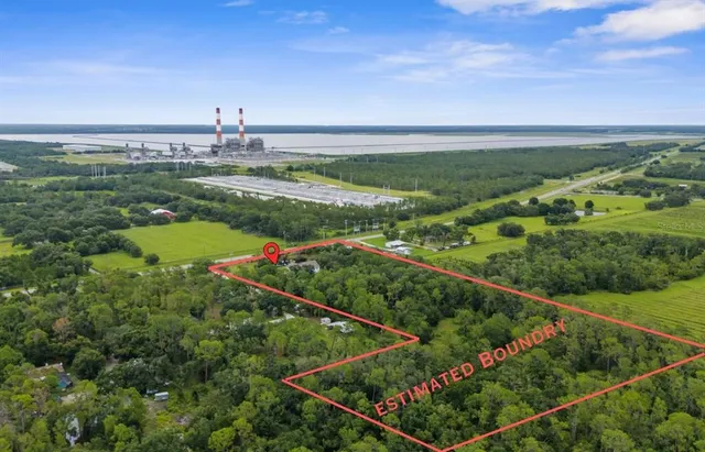 a view of a city with flower on both side of it