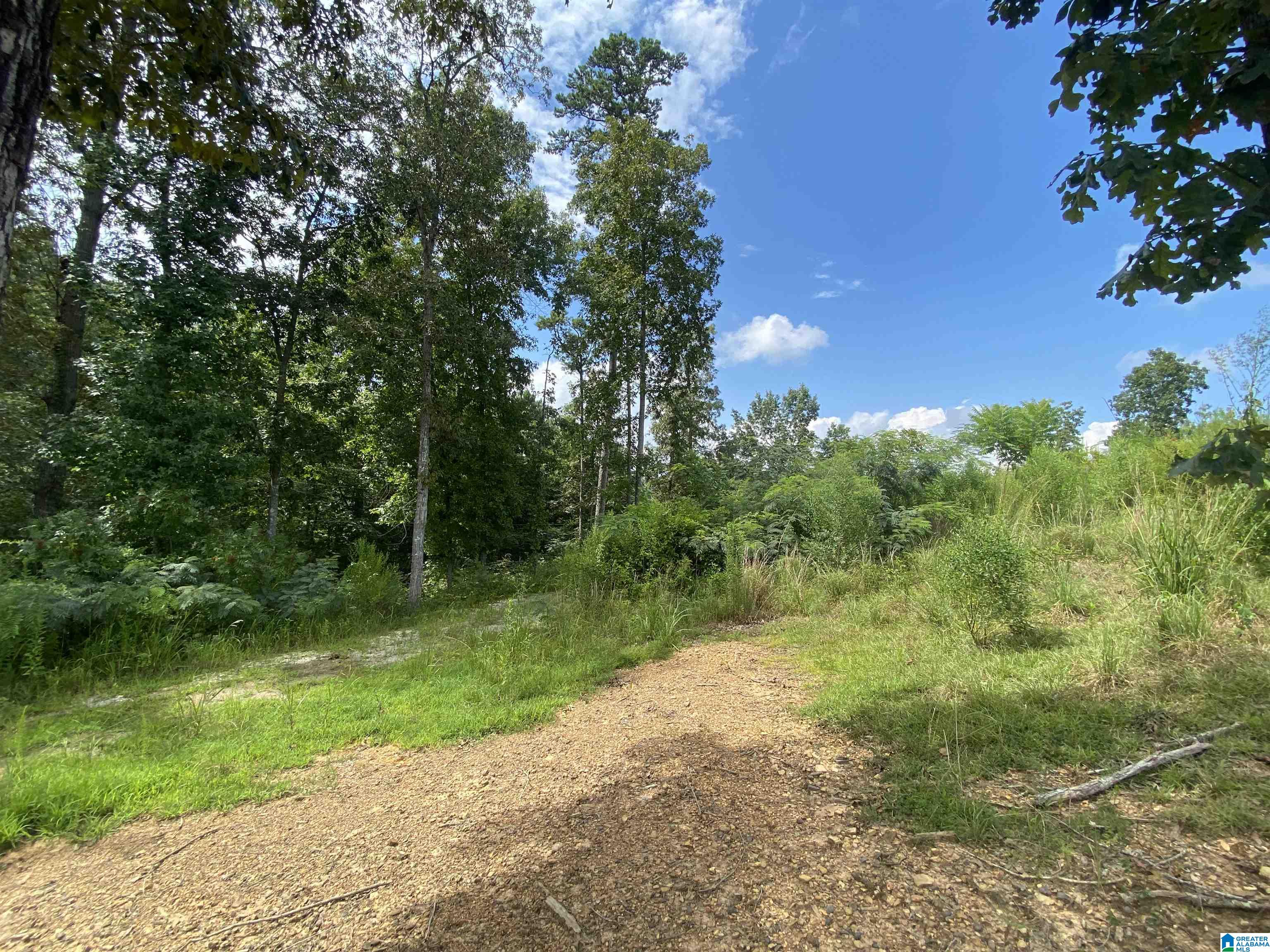 707 Sagebrush Road, Unit 12 Ashville, AL 35953 - Photo 2 of 8