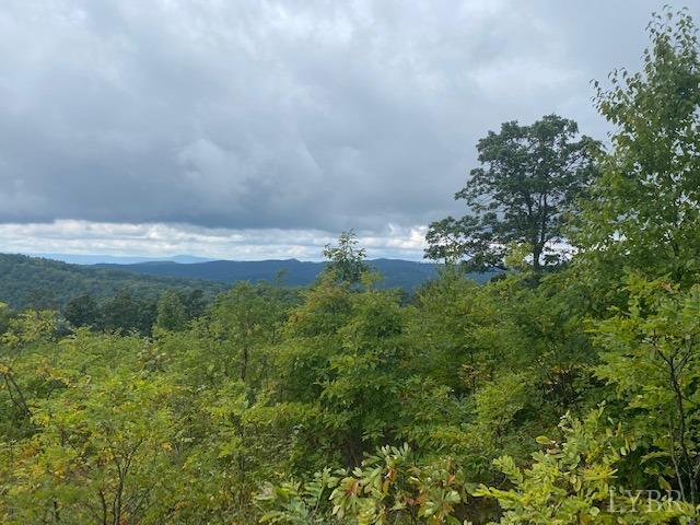380 Little Cabin Road Amherst, VA 24521 - Photo 2 of 12 a view of a green field with lots of bushes