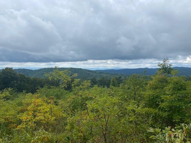 380 Little Cabin Road Amherst, VA 24521 - Photo 3 of 12 a view of outdoor space and green space
