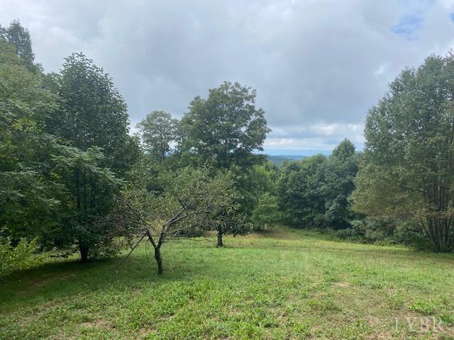 380 Little Cabin Road Amherst, VA 24521 - Photo 4 of 12 a view of a grassy field with trees
