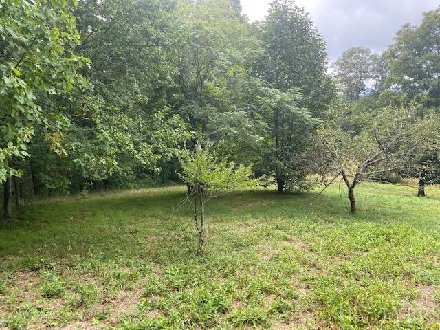 380 Little Cabin Road Amherst, VA 24521 - Photo 5 of 12 a view of a lake view