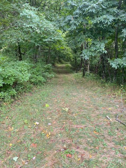 380 Little Cabin Road Amherst, VA 24521 - Photo 8 of 12 a view of outdoor space and yard