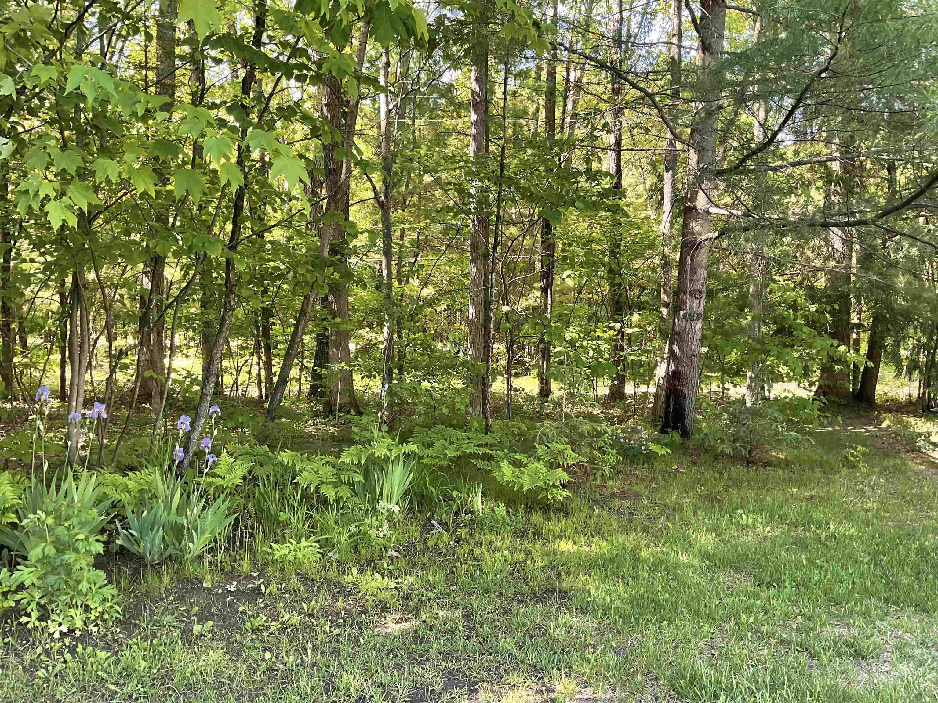3300 East Arnold Lake Road Harrison, MI 48625 - Photo 88 of 90 1947481-0c52de89-c2ce-4752-a003-449f89becaf4.JPG