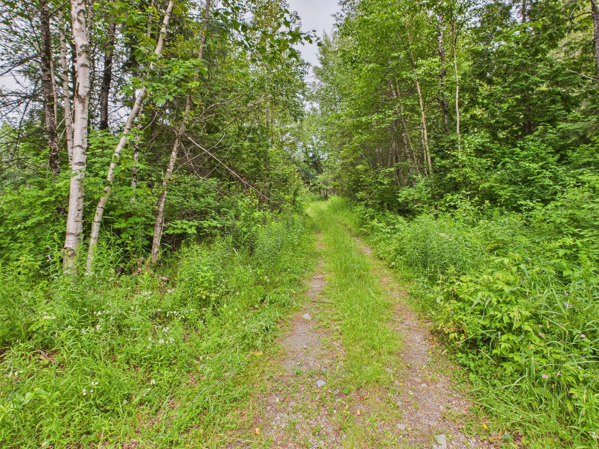 Map7 Map7 Lot21 Sherman, ME 04776 - Photo 19 of 21 Map7 Lot21, Sherman, ME 04776