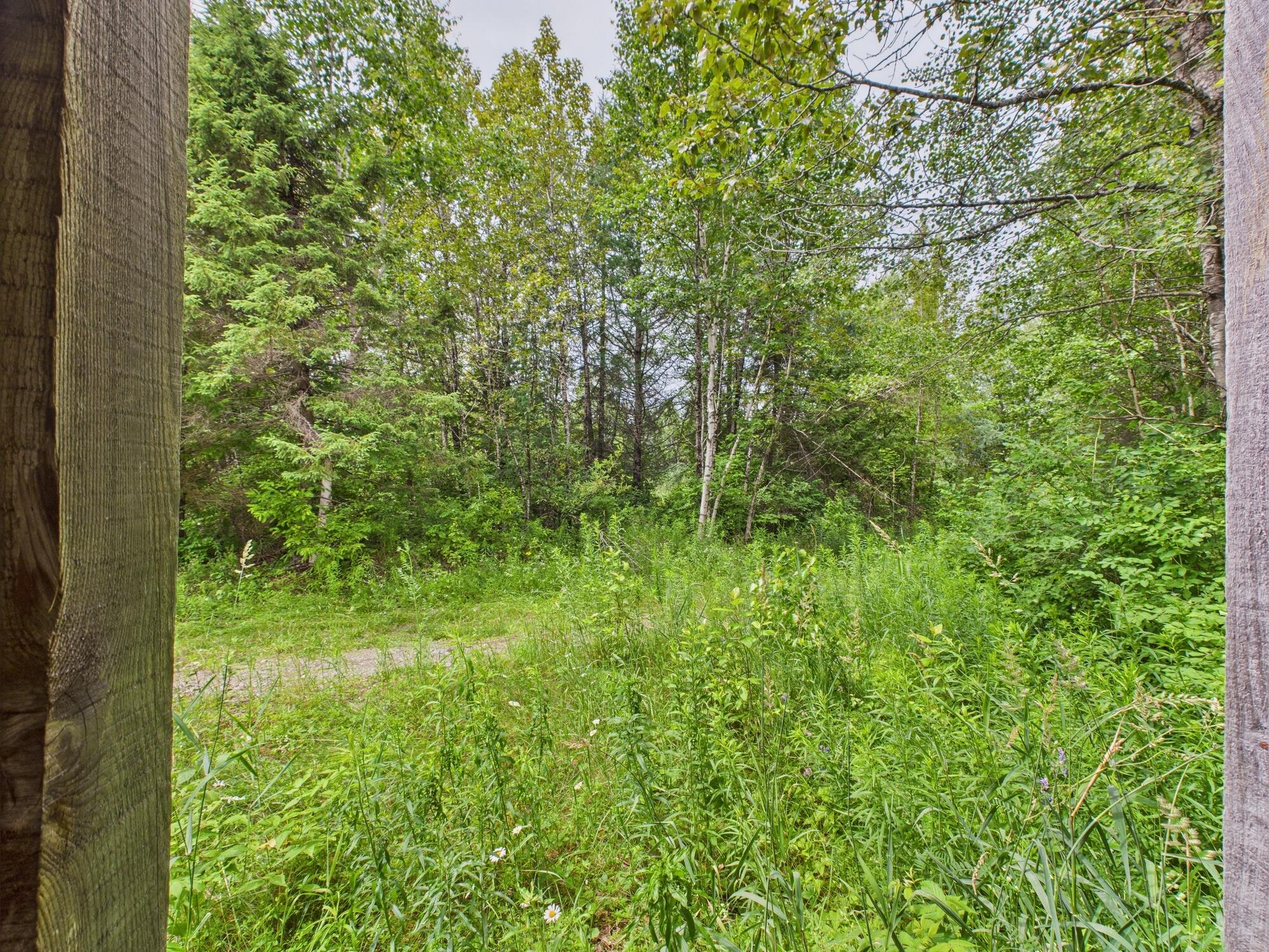 Map7 Map7 Lot21 Sherman, ME 04776 - Photo 20 of 21 Map7 Lot21, Sherman, ME 04776