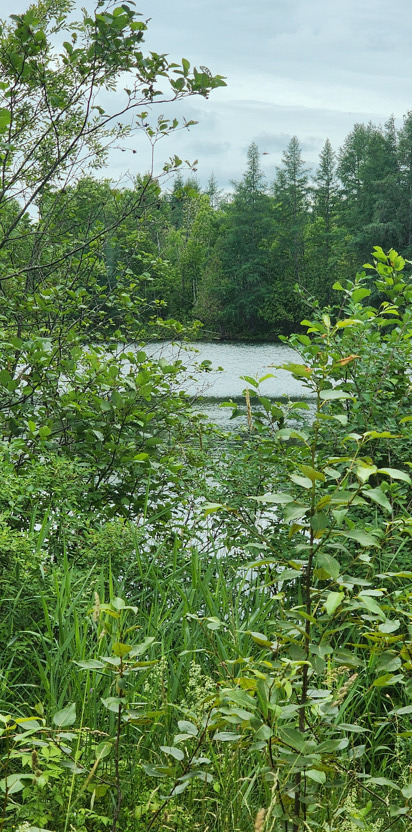 Map7 Map7 Lot21 Sherman, ME 04776 - Photo 2 of 21 Map7 Lot21, Sherman, ME 04776