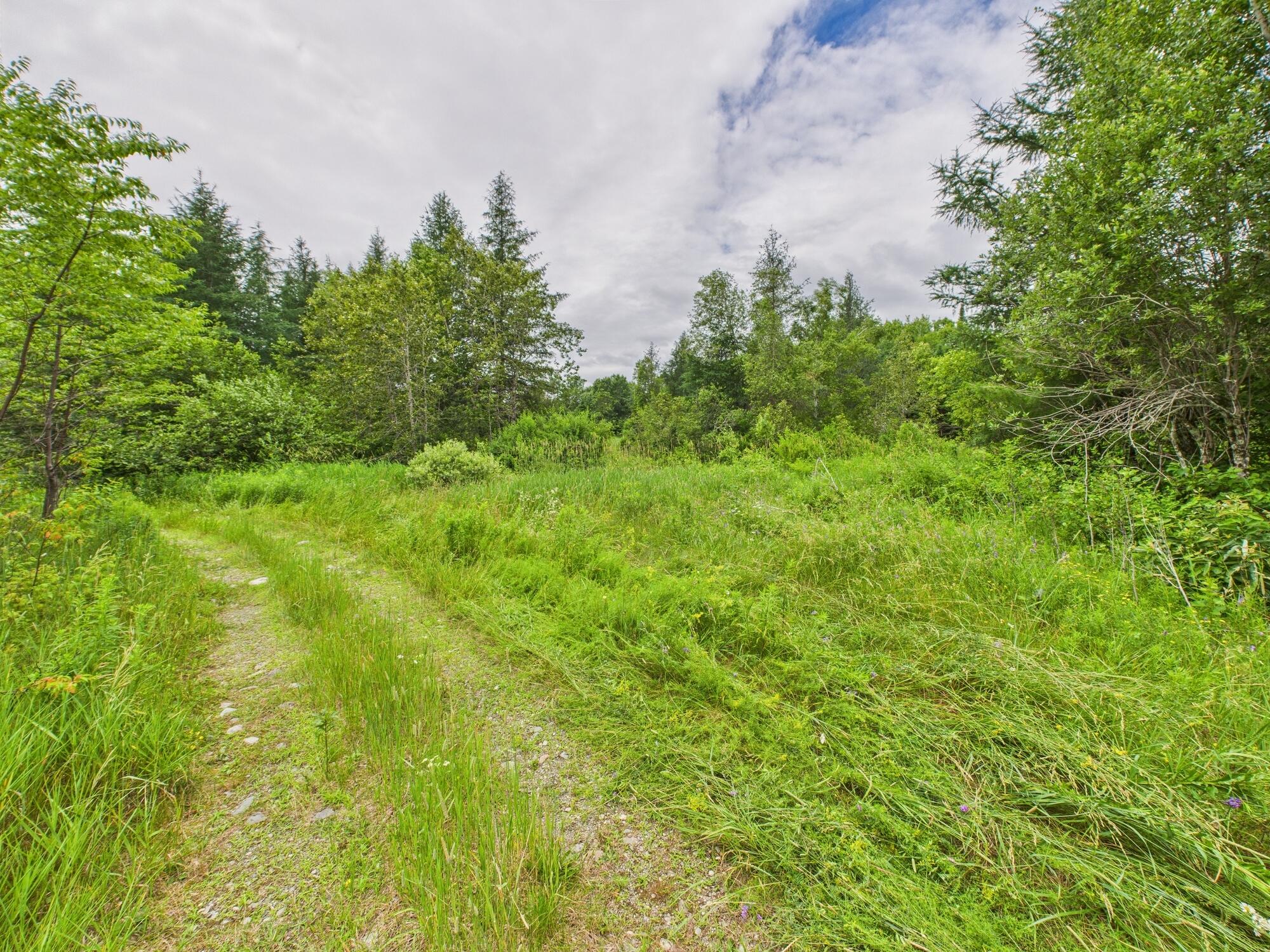 Map7 Map7 Lot21 Sherman, ME 04776 - Photo 21 of 21 Map7 Lot21, Sherman, ME 04776