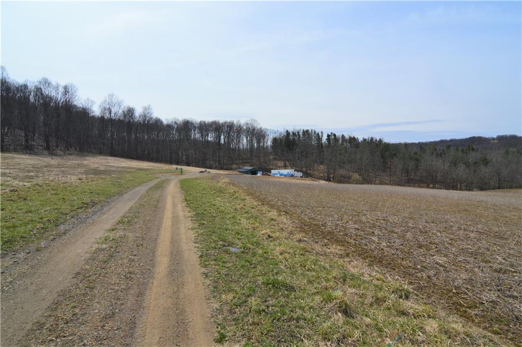 1052 Craig Run Road Avonmore, PA 15618 - Photo 9 of 13 a view of a dry yard with trees