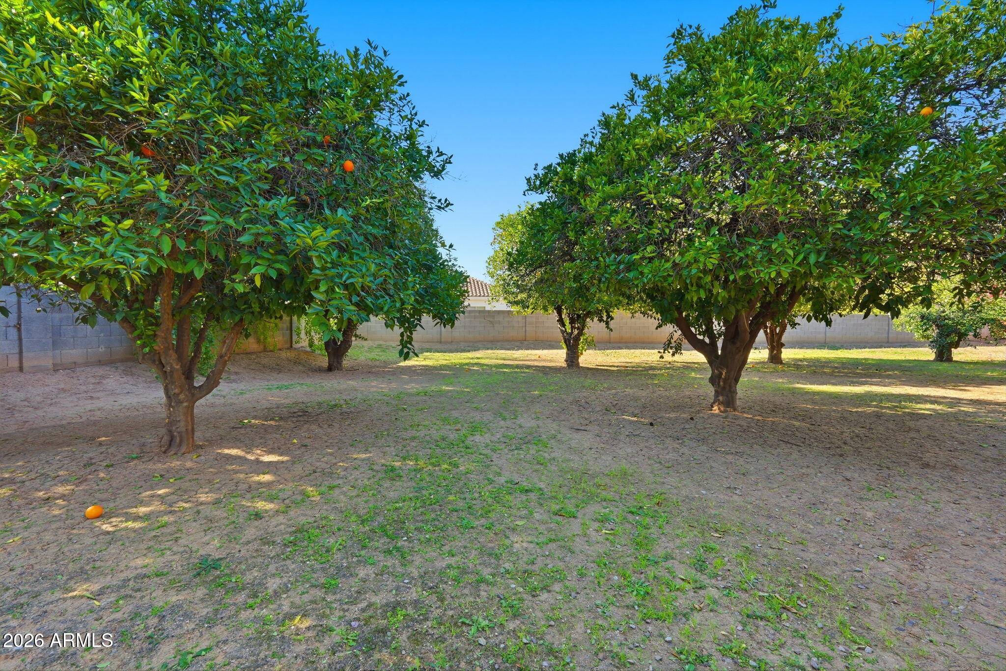 4222 East McLellan Road, Unit 15 Mesa, AZ 85205 - Photo 77 of 86 093_ListerPros