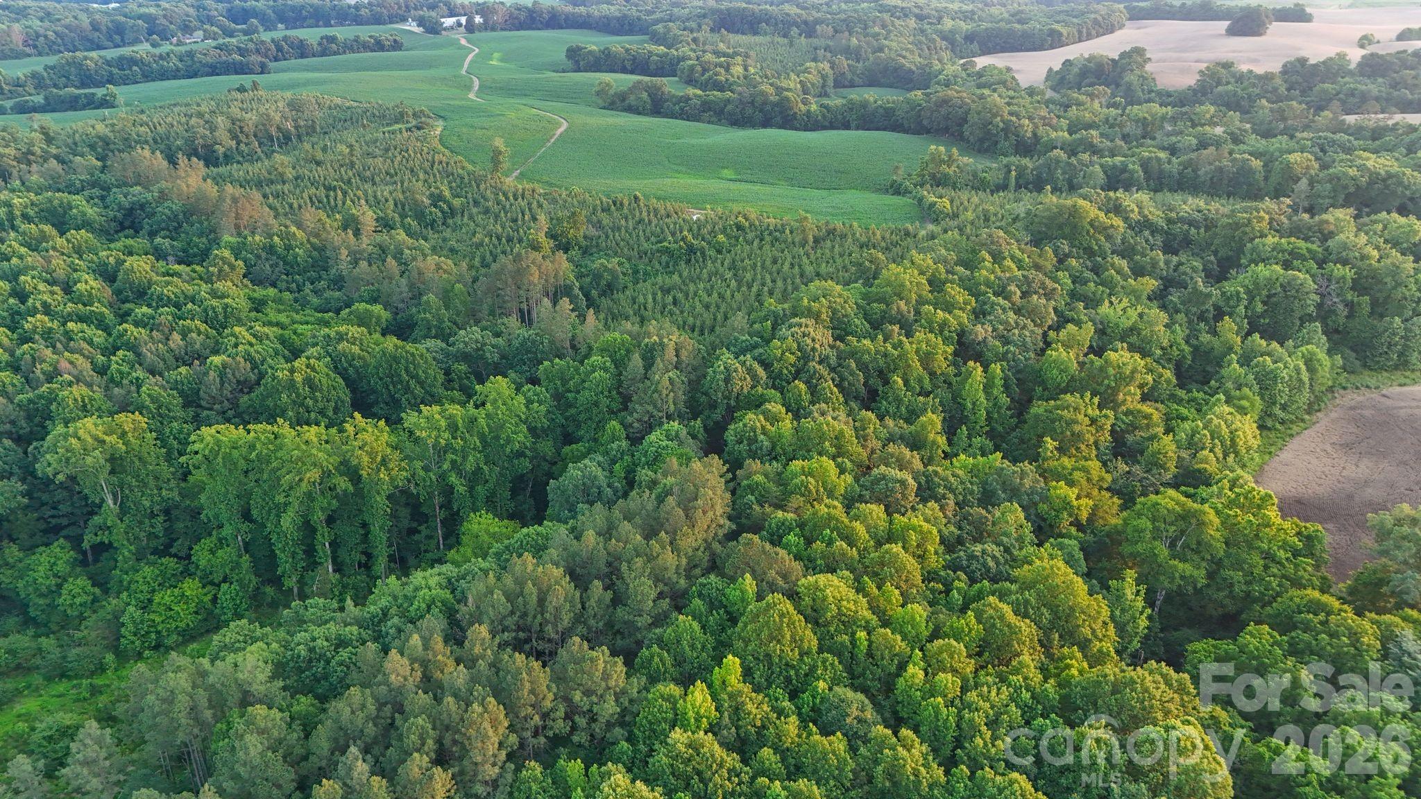 0 Lucy Short Cut Road, Unit 3 Marshville, NC 28103 - Photo 27 of 47